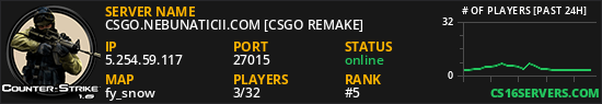 CSGO.NEBUNATICII.COM [CSGO REMAKE]