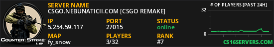 CSGO.NEBUNATICII.COM [CSGO REMAKE]